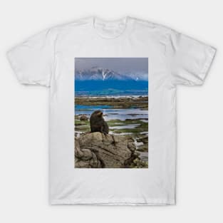 Seal on a Rock T-Shirt